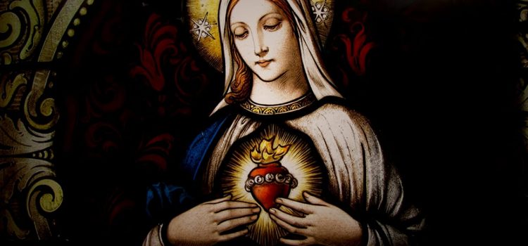 Imaculado Coração de Maria, sede a nossa salvação