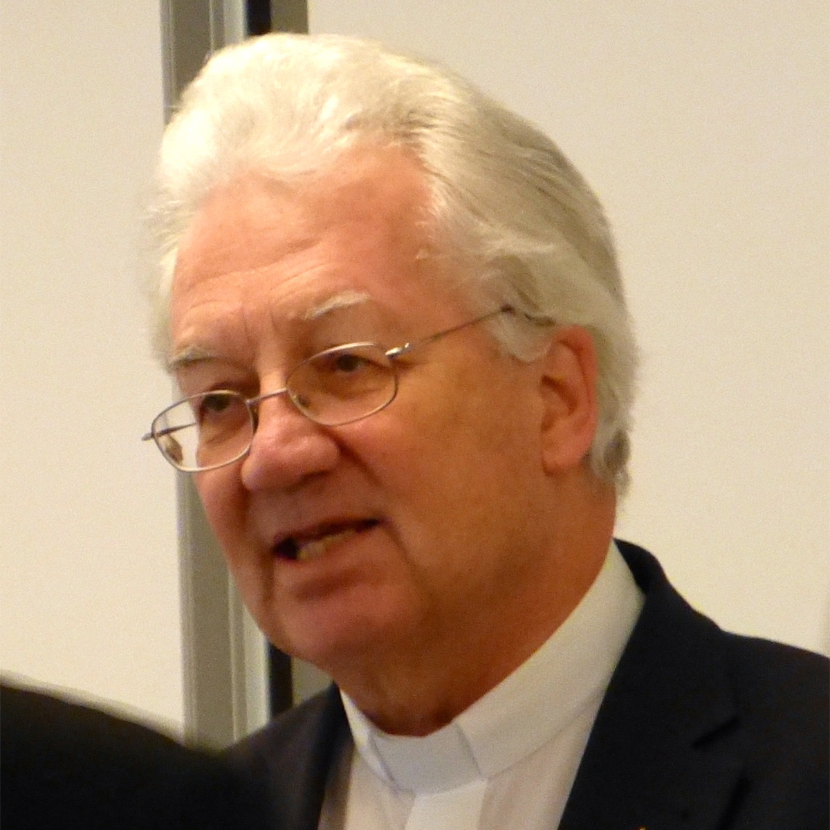 Dom Martin Gächter, Bispo Auxiliar Emérito da Diocese de Basileia (2012)