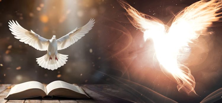 Aprenda uma Invocação do Espírito Santo para fazer todos os dias