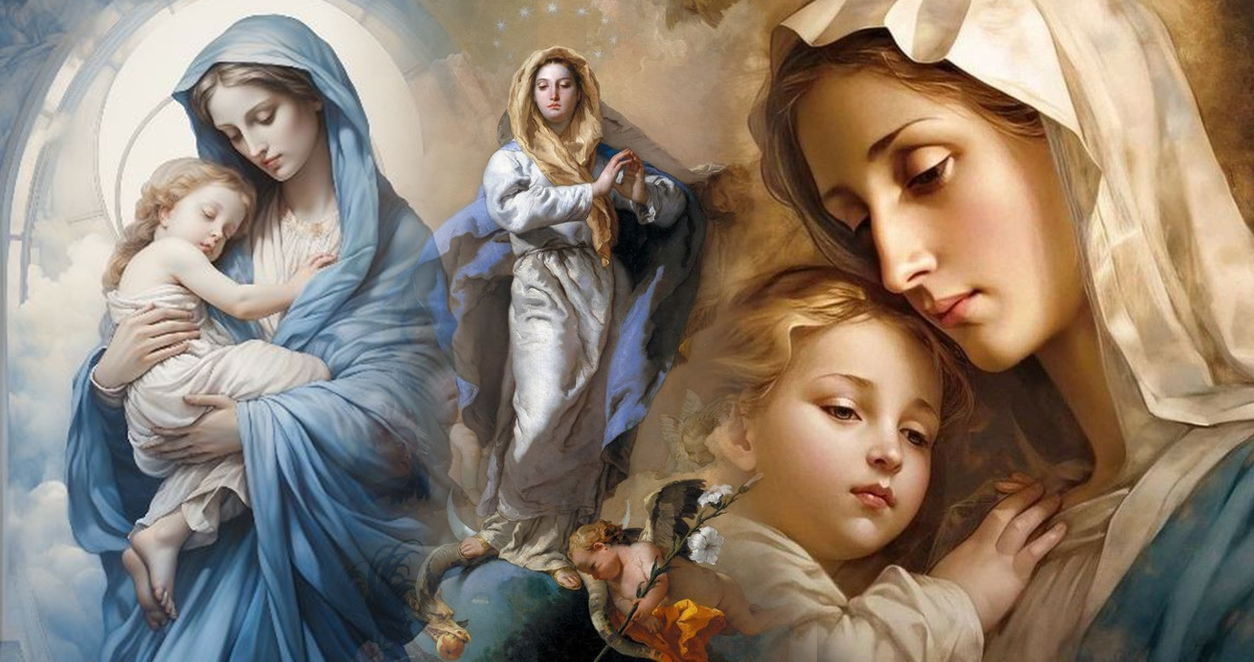Quem ama Jesus não despreza Maria