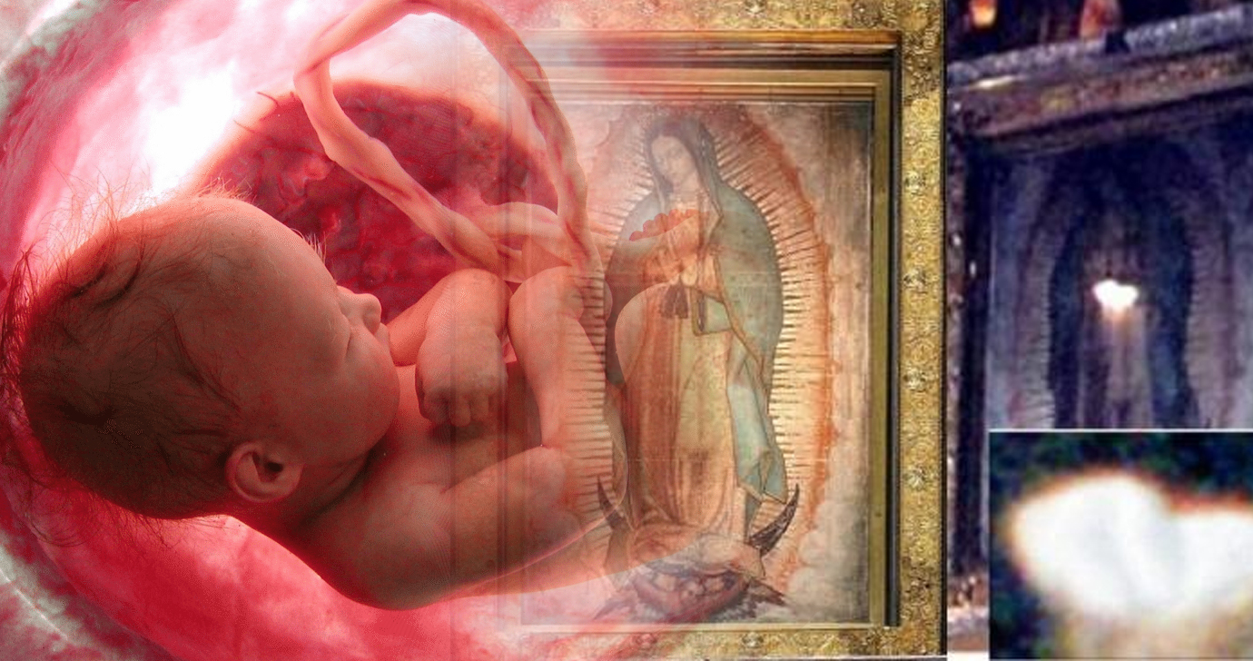Um milagre impressionante contra o aborto