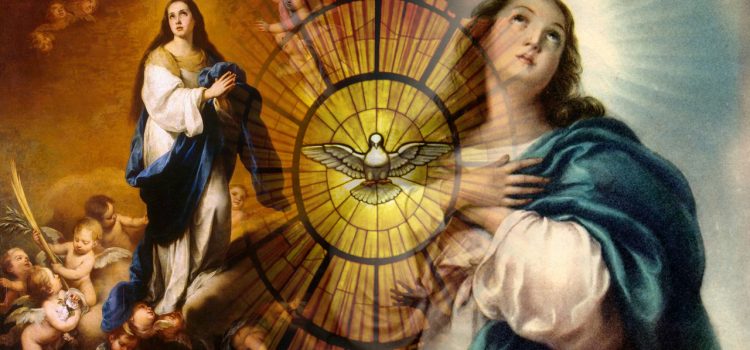 Imaculada Conceição: entenda o dogma e a Solenidade